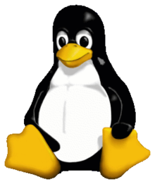 Linux Logo - Penguin